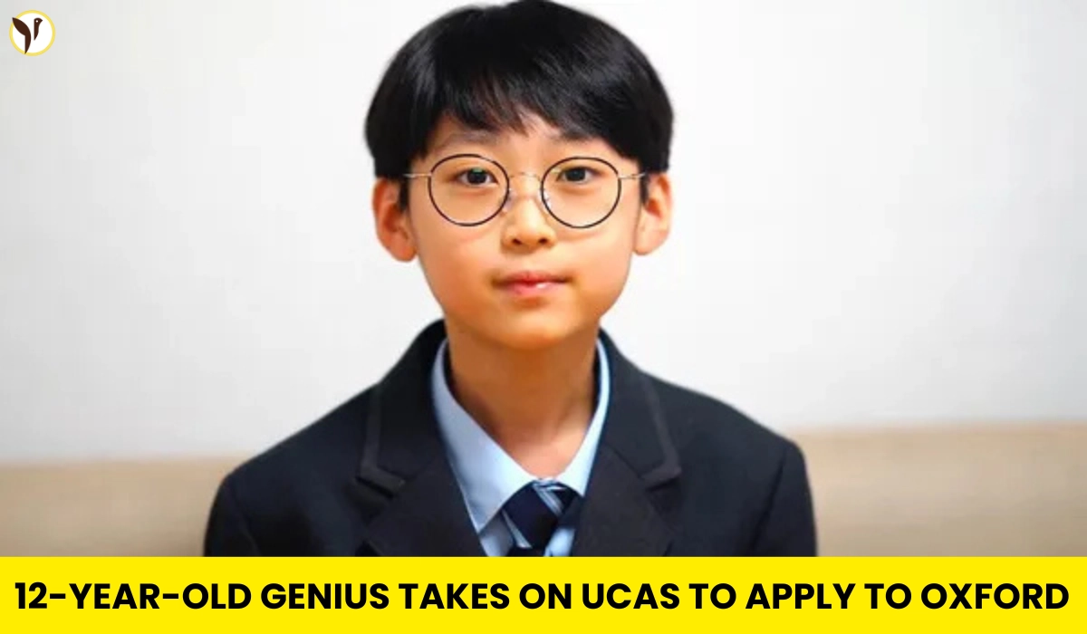 baek kang hyun koeran prodigy 