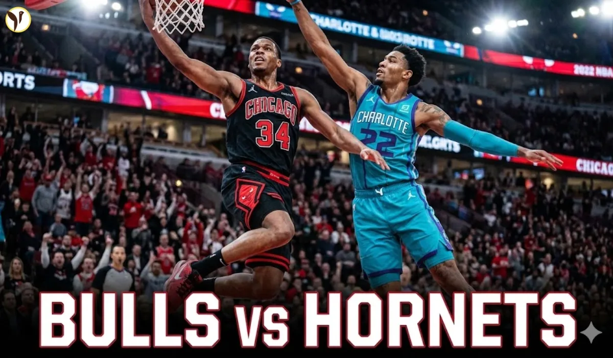 Bulls vs Hornets Recap