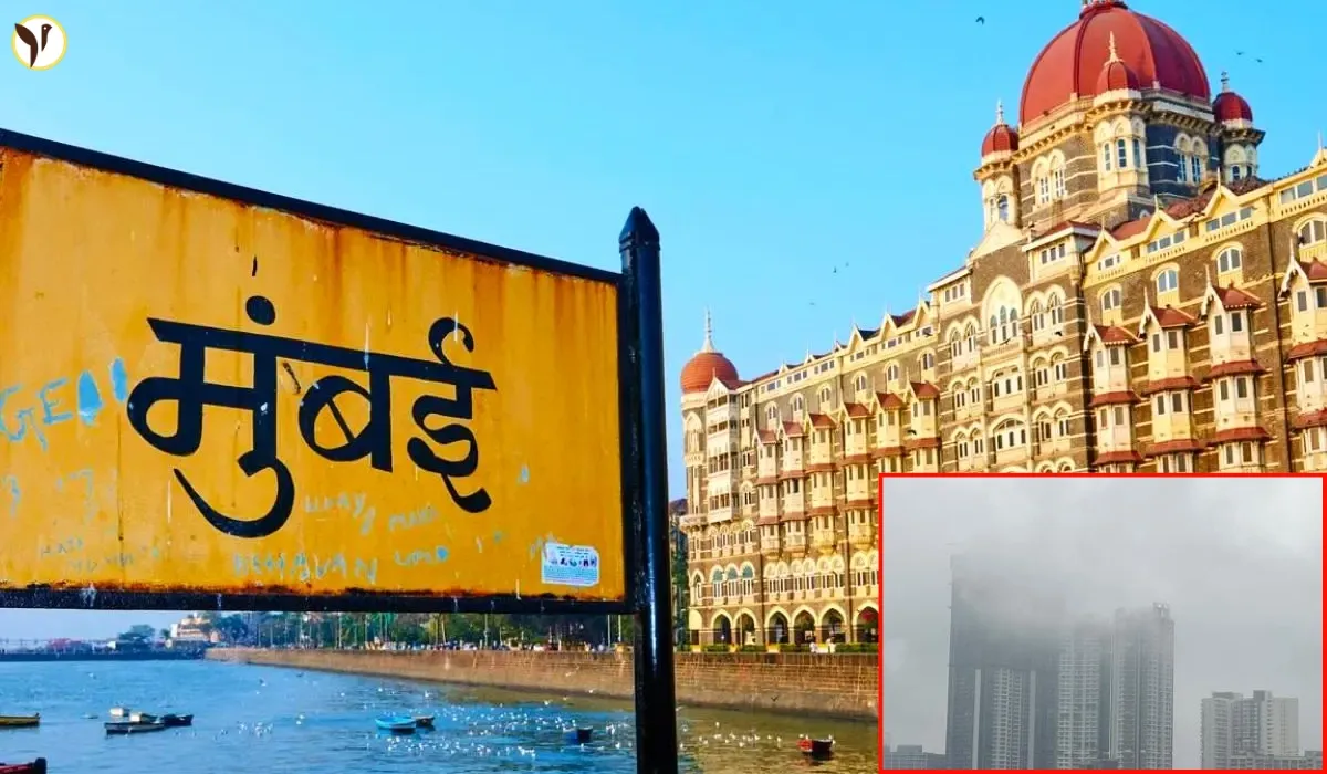 Yellow Alert Mean for Mumbai 