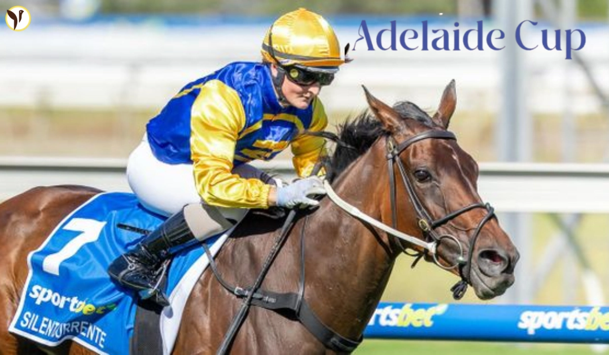 Adelaide Cup 2026 Winner