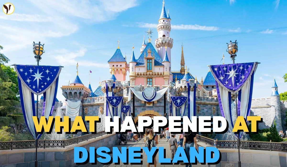 Disneyland Hazmat Scare Sends 7 Cast Members to Hospital