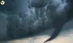 Kentucky Tornado Goes Viral – See What Happened
