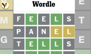 wordle 783