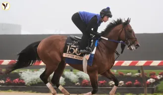 Preakness Stakes 2025