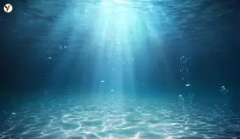 Sunken City Found in Indonesia
