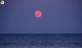 Strawberry Moon 2025