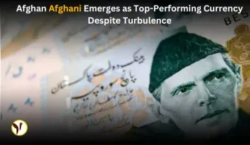 Afghan