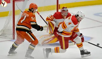 Flames Sweep Wild