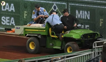 Pirates fan fall
