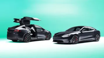 Tesla Stock Plunges