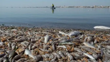 Mar Menor Lagoon Granted Legal Rights