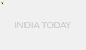 2025 Indian Auto Scene Explodes
