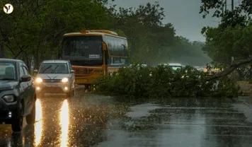 Delhi Storm