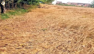 आगरा