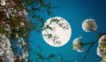 Full Flower Moon 2025