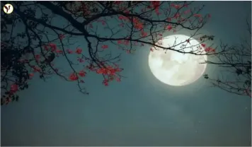 Scorpio Full Moon (May 12