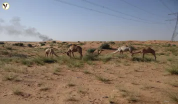 Abu Dhabi's TAMM