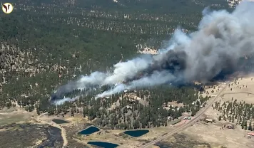 greer fire