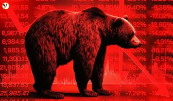 Raymond Shares Plunge 66%