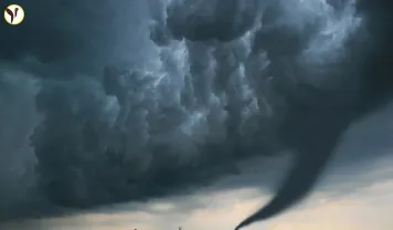 Kentucky Tornado Goes Viral
