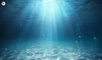 Sunken City Found in Indonesia