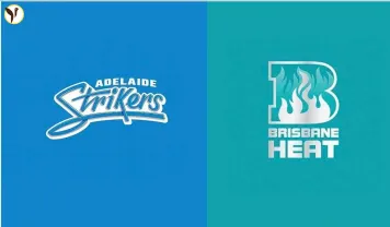 Adelaide vs Brisbane Round 13 AFL 2025