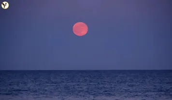 Strawberry Moon 2025