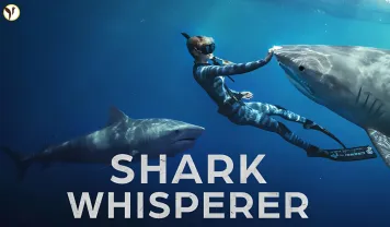 ocean ramsey