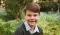 Prince Louis Turns 7