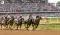 Journalism Leads the 2025 Kentucky Derby