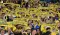  Leeds United'