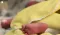 Berlin Baby's Huge Weight Stuns Doctors