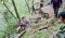 Uttarakhand Helicopter Crash