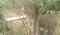 Jaisalmer Under Drone Attack