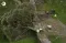 The Fall and Rise of Sycamore Gap