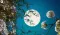 Full Flower Moon 2025