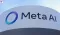Meta