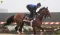 Preakness Stakes 2025