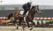 Preakness