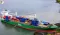 Norwegian Man’s Lawn vs. Giant Cargo Ship