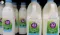 Urgent a2 Milk Recall