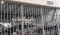 Judge Orders Review of El Salvador Deportations