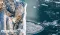 Greenland's 9-Day Tremor