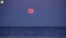 Strawberry Moon 2025