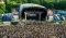 Parklife 2025