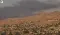 Antioch wildfire