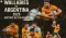 wallabies vs argentina