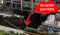 bangkok sinkhole 2025