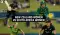 new zealand women vs south africa women