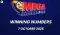 Mega Millions Winning Numbers